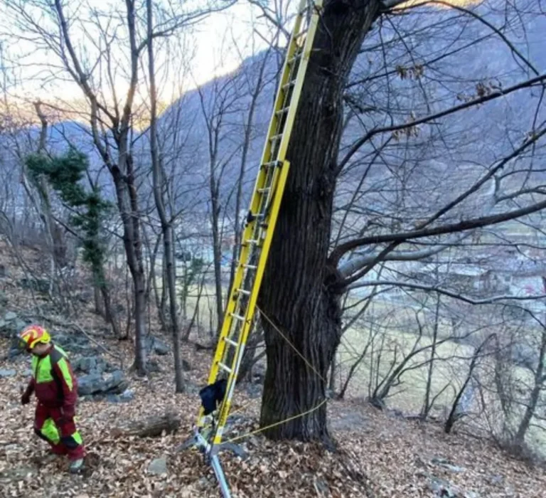 Scala BRANACH con base regolabile TerrainMaster appoggiata su un pendio boschivo